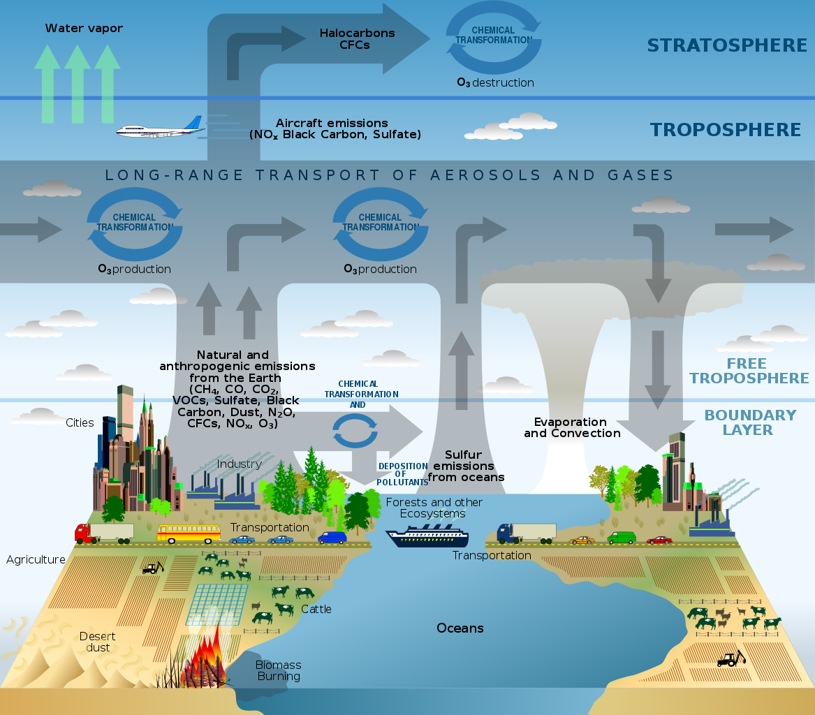 Schematic of chemical and transport processes related to atmospheric composition. These processes link the atmosphere with other components of the Earth system, including the oceans, land, and terrestrial and marine plants and animals. | wikimedia.org