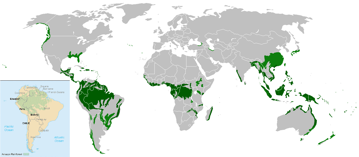 Location of tropical (dark green) and temperate/subtropical (light green) rainforests in the world.