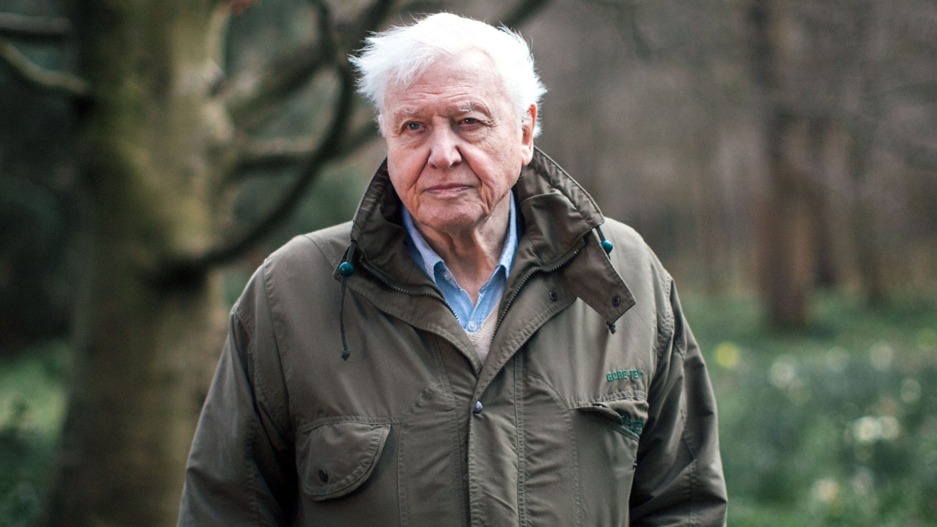Sir David Frederick Attenborough