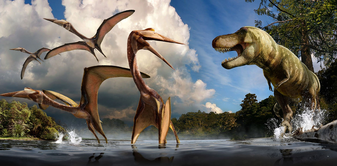 Cretaceous age Quetzalcoatlus and T. rex are featured in this mural created for Big Bend's Fossil Discovery Exhibit. Big Bend National Park, Texas. NPS image of mural by paleoartists Julius Csotonyi and Alexandra Lefort.