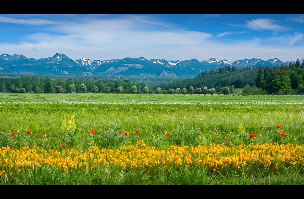 Flower farm in the Snoqualmie Valley in King County near Redmond, Washington (USA) | courtesy of Bureau of Global Public Affairs (GPA) of the United States Department of State Photo Archive at flickr.com | Credit: Jim Choate via Flickr