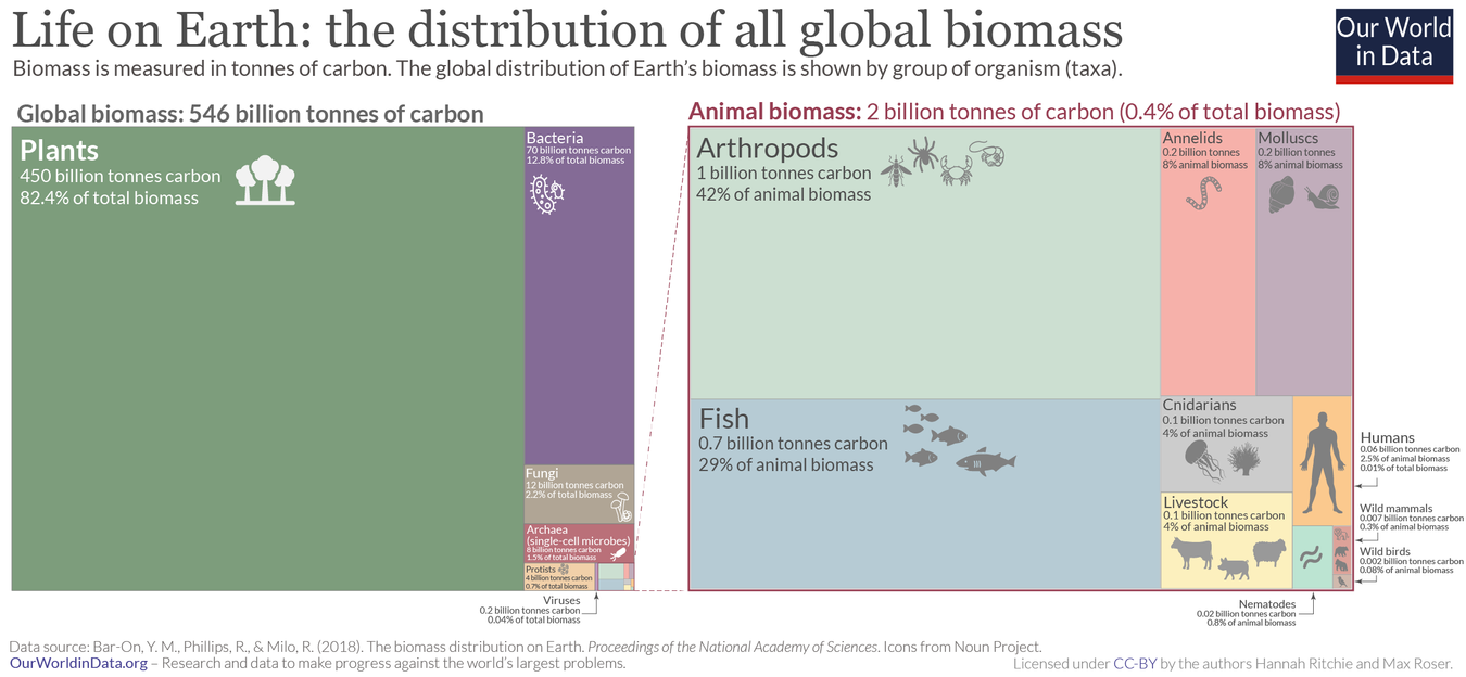 Hannah Ritchie (2019) - 'Humans make up just 0.01% of Earth's life — what's the rest?'