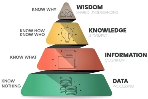 Data (Processing), Information (Cognition), Knowledge (Judgment), Wisdom (Shared understanding) pyramid (DIKW)