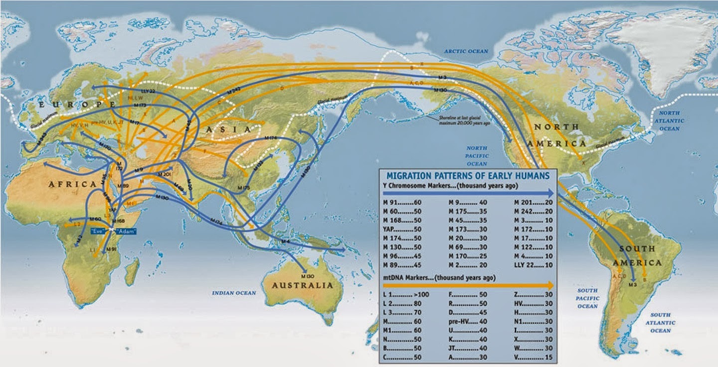 The Genographic Project tracked the path of human movement across the globe.