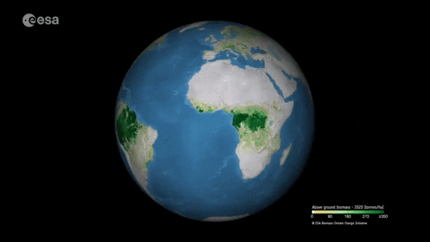 Above ground biomass 2020 | Source: giphy.com | Credit: ESA (Data source: CCI Biomass project)